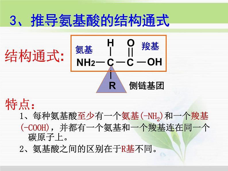 必修1 第2章 第2节生命活动的主要承担者—蛋白质 课件06