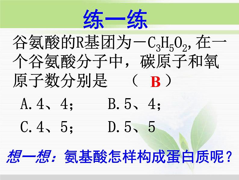 必修1 第2章 第2节生命活动的主要承担者—蛋白质 课件08