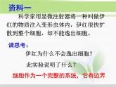 必修1 第3章 第1節(jié)細(xì)胞膜——系統(tǒng)的邊界 課件