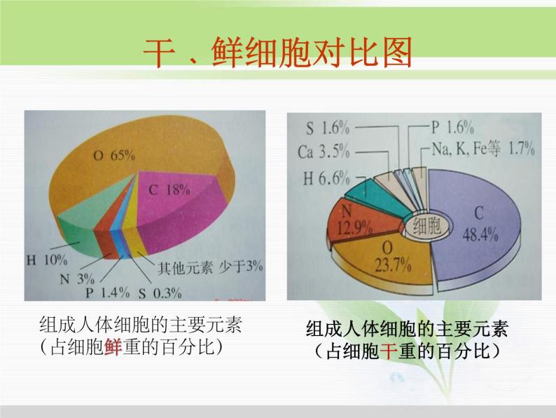 必修1 第2章 第1节细胞中的元素和化合物 课件08