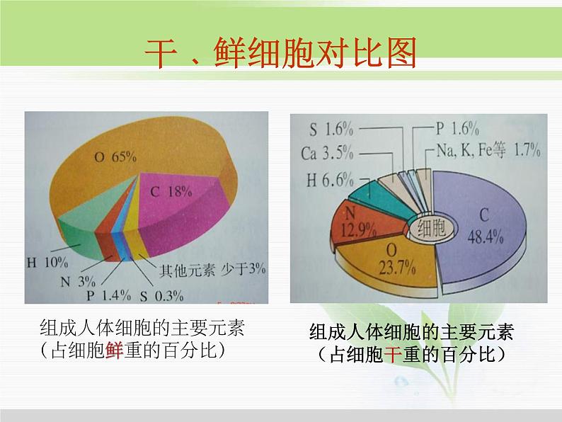 必修1 第2章 第1节细胞中的元素和化合物 课件08