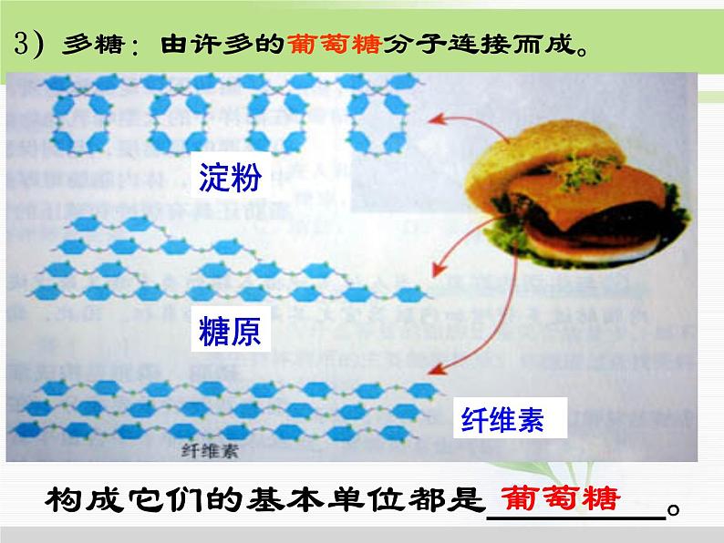 必修1 第2章 第4节细胞中的糖类和脂质 课件06