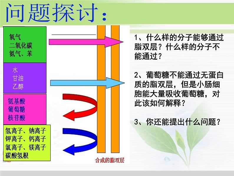 必修1 第4章 第3节物质跨膜运输的方式 课件02