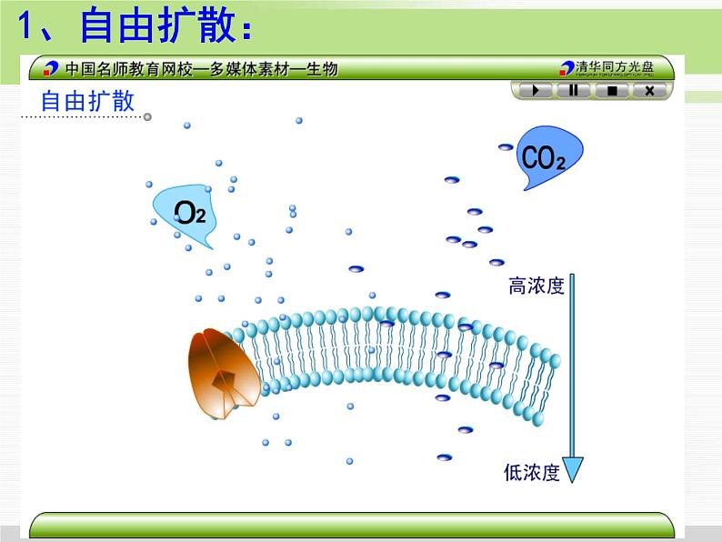 必修1 第4章 第3节物质跨膜运输的方式 课件06