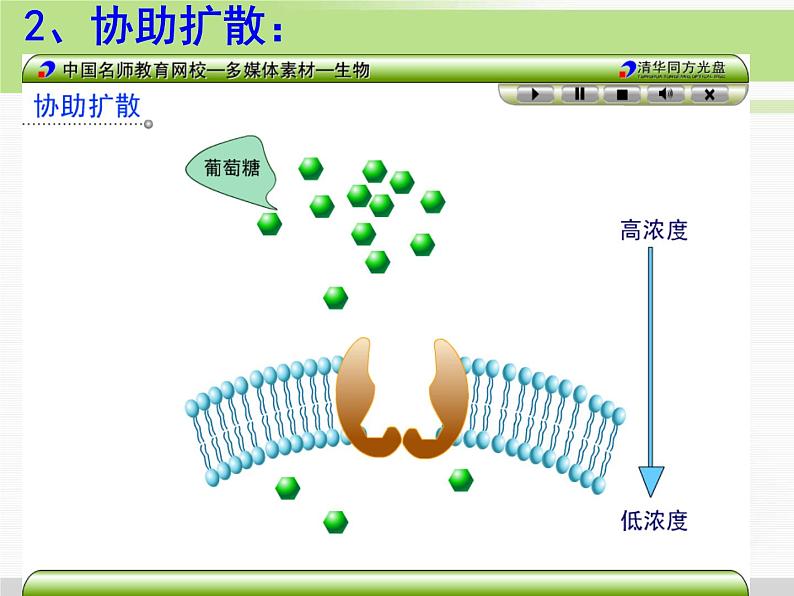 必修1 第4章 第3节物质跨膜运输的方式 课件08