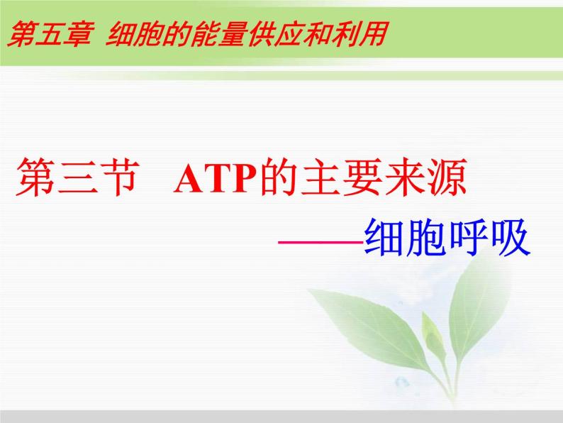 必修1 第5章 第3节ATP的主要来源——细胞呼吸 课件01