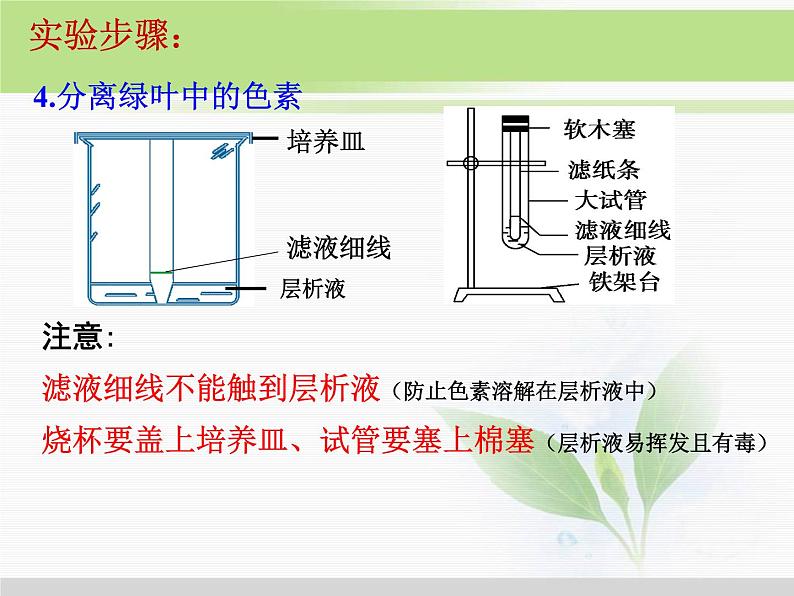 必修1 第5章 第4节能量之源——光与光合作用 课件07