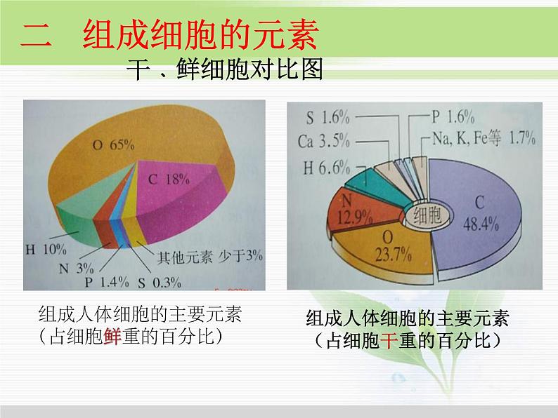 必修1 第2章全章课件05