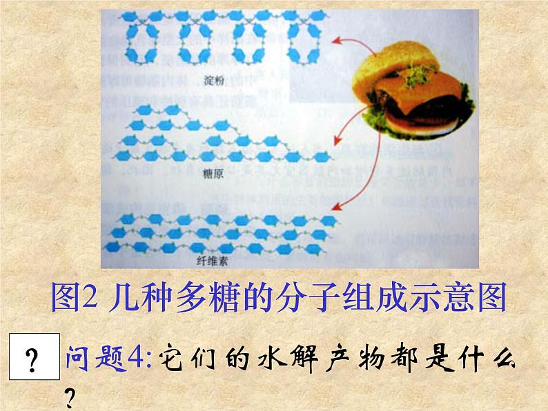 2.4 细胞中的糖类和脂质1 课件08