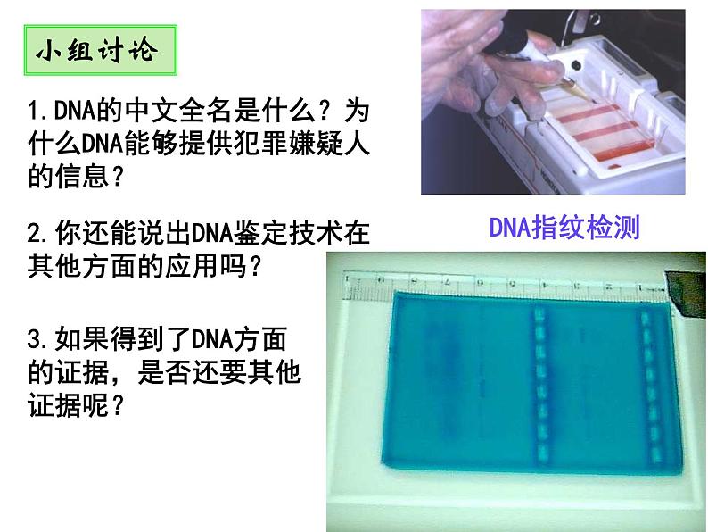 2.3 遗传信息的携带者--核酸 课件02