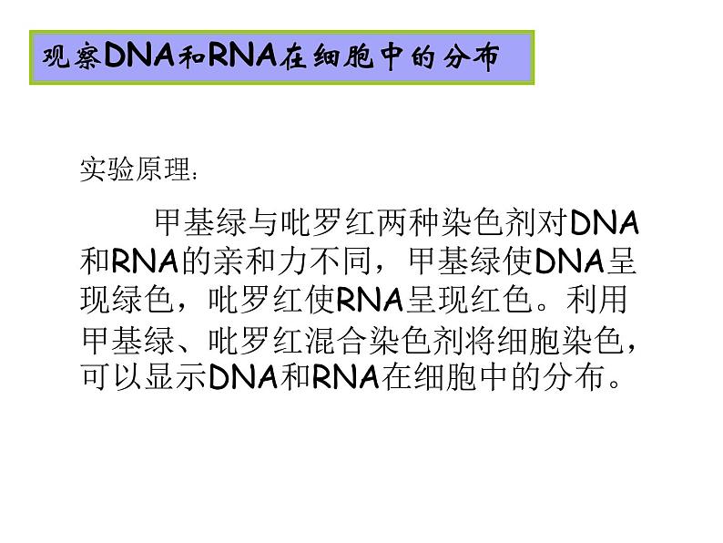 2.3 遗传信息的携带者--核酸 课件03