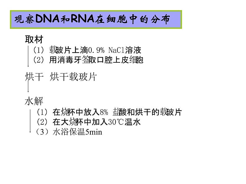 2.3 遗传信息的携带者--核酸 课件04