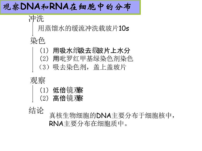 2.3 遗传信息的携带者--核酸 课件05