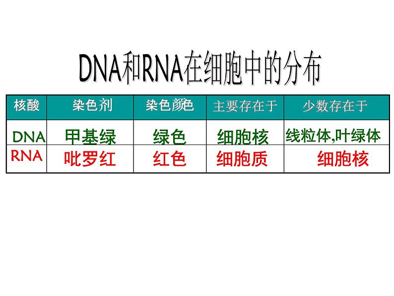 2.3 遗传信息的携带者--核酸 课件06