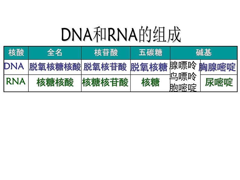 2.3 遗传信息的携带者--核酸 课件07