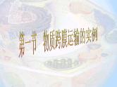 4.1 物质跨膜运输的实例 课件