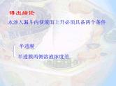 4.1 物质跨膜运输的实例 课件