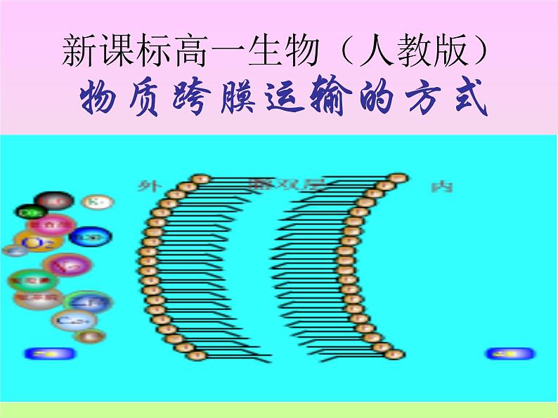 4.3 物质的跨膜运输方式 课件01