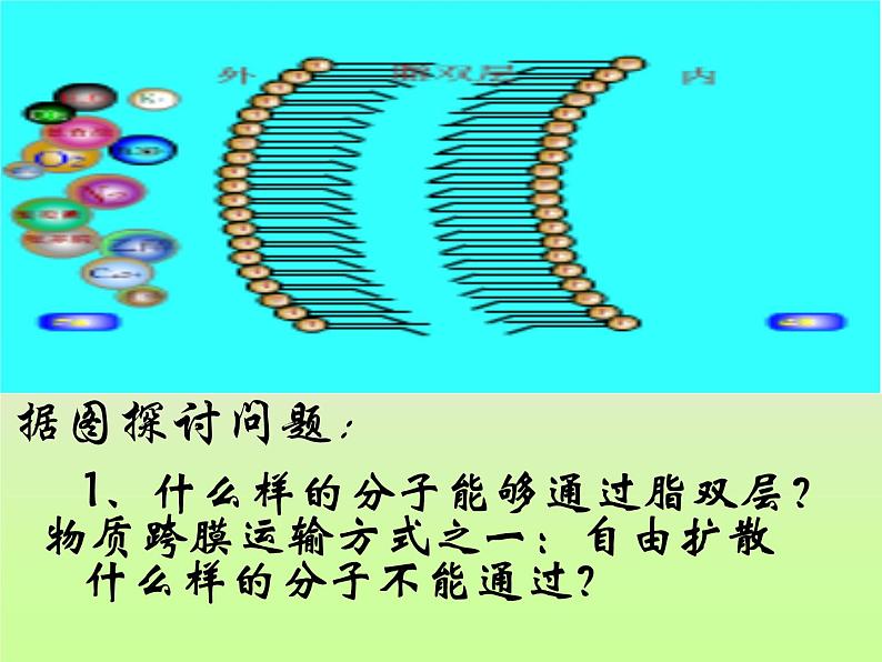 4.3 物质的跨膜运输方式 课件03