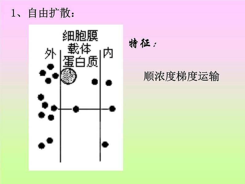 4.3 物质的跨膜运输方式 课件05