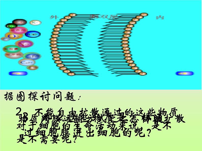 4.3 物质的跨膜运输方式 课件06