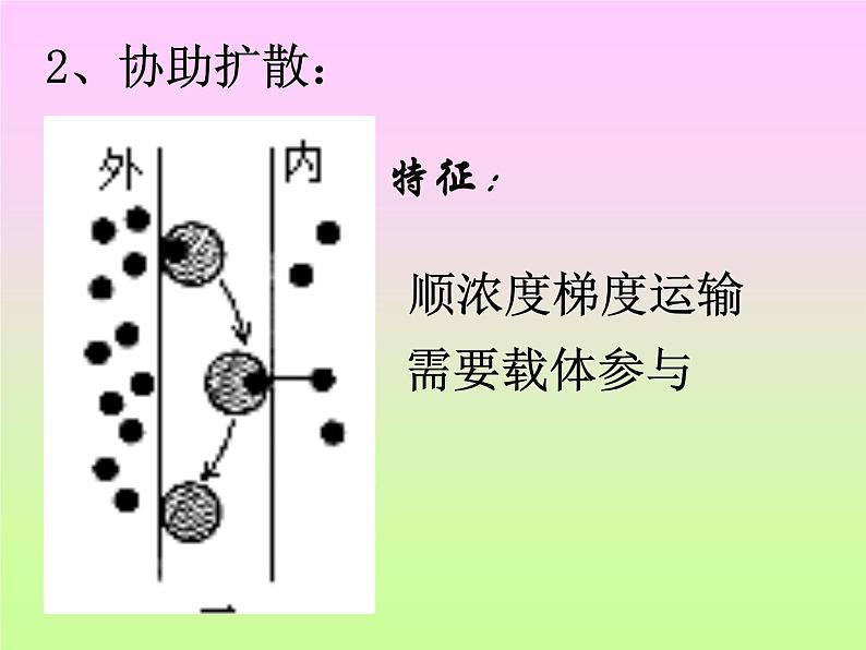 4.3 物质的跨膜运输方式 课件08