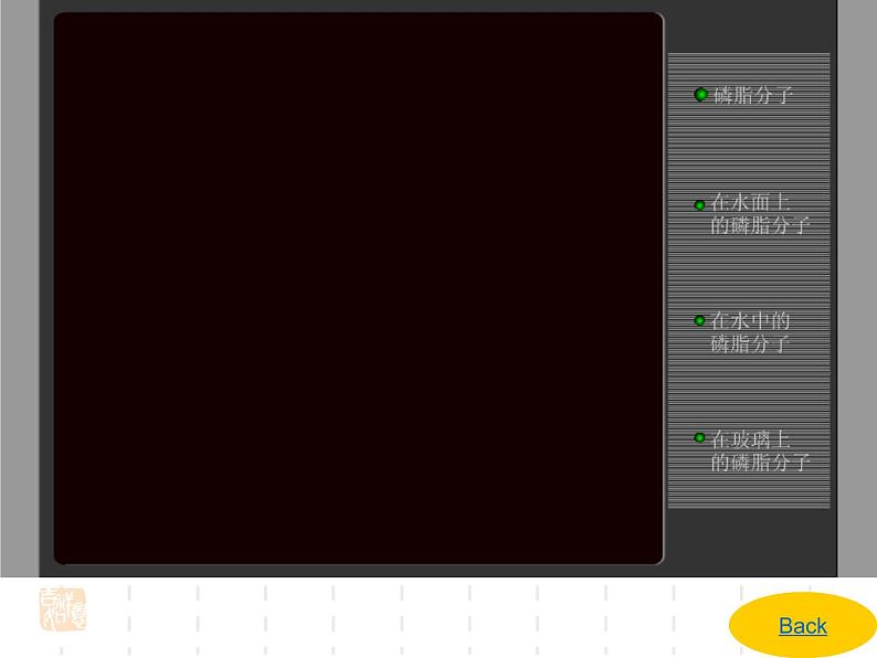 4.2 生物膜的流动镶嵌模型★ 课件08