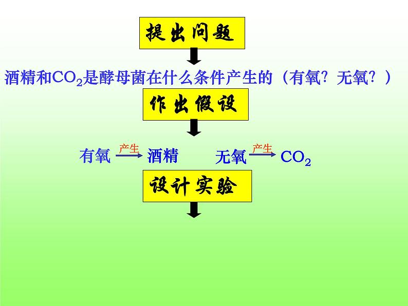 5.3 探究酵母菌细胞呼吸的方式 课件06