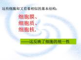 1.2细胞的多样性和统一性- 课件