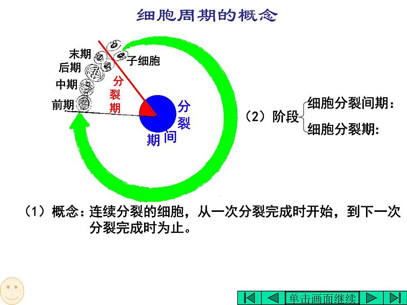 6.1 细胞的增殖 课件03