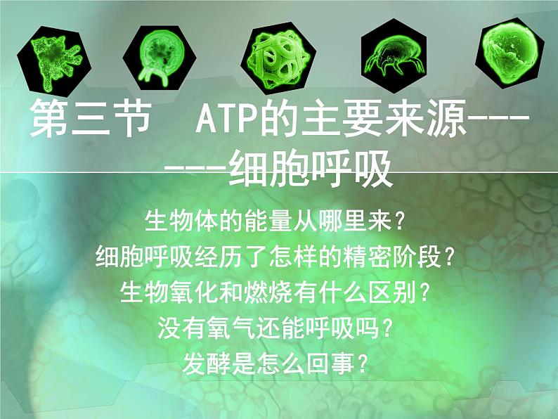 5.3  ATP的主要来源--细胞呼吸 课件01