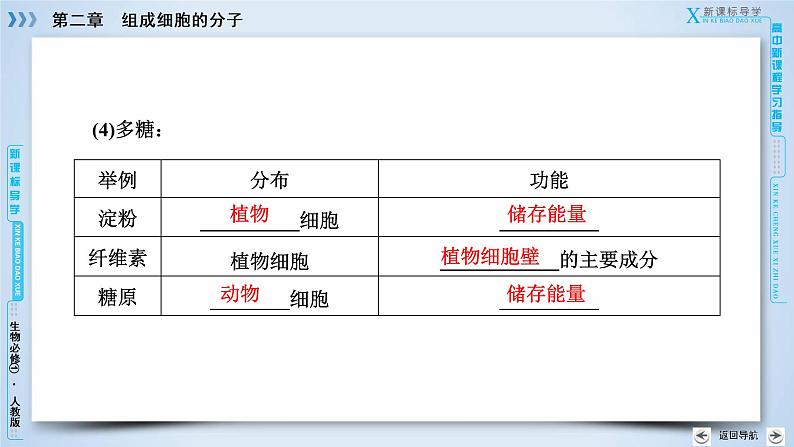 高中生物人教版必修1课件：第2章 第4节细胞中的糖类和脂质08