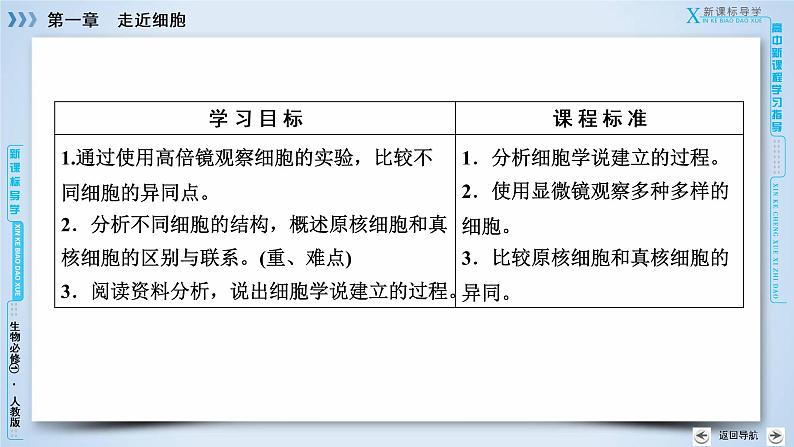 高中生物人教版必修1课件：第1章 第2节细胞的多样性和统一性03