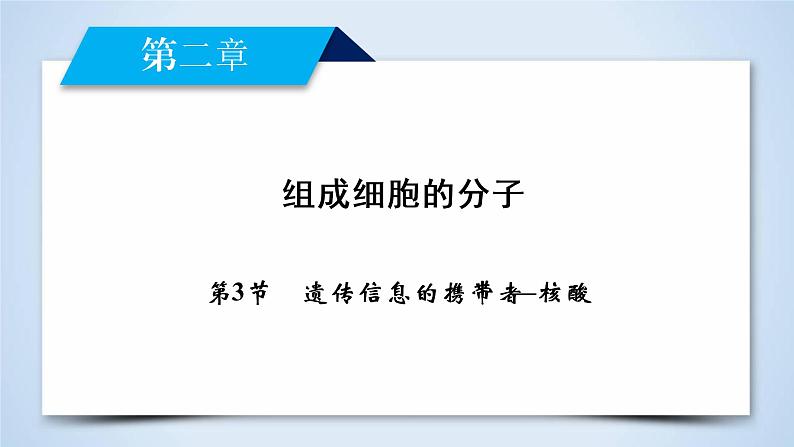 高中生物人教版必修1课件：第2章 第3节遗传信息的携带者——核酸02