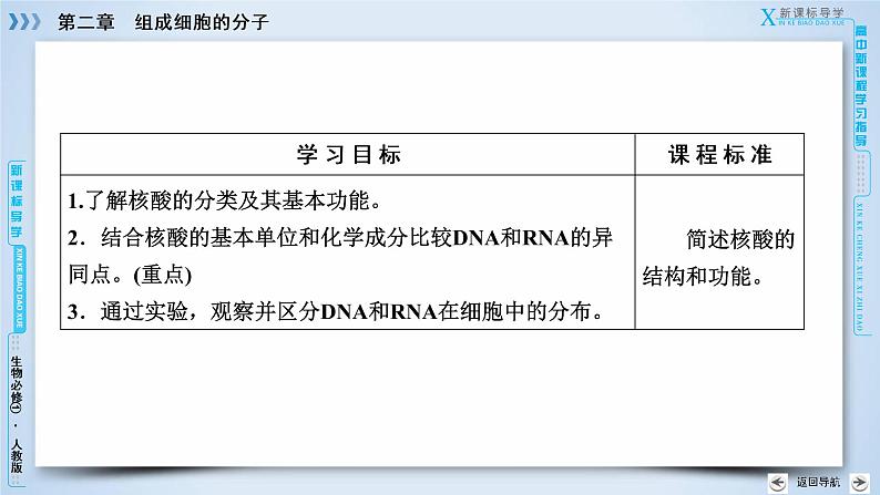 高中生物人教版必修1课件：第2章 第3节遗传信息的携带者——核酸03