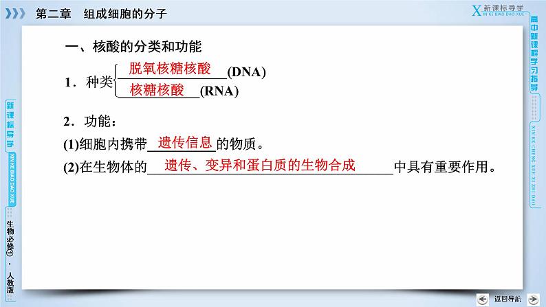 高中生物人教版必修1课件：第2章 第3节遗传信息的携带者——核酸06