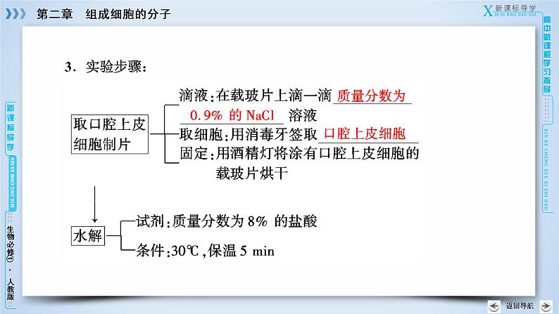 高中生物人教版必修1课件：第2章 第3节遗传信息的携带者——核酸08