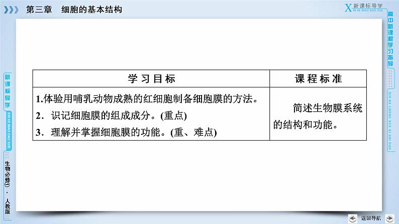 高中生物人教版必修1课件：第3章 第1节细胞膜——系统的边界07