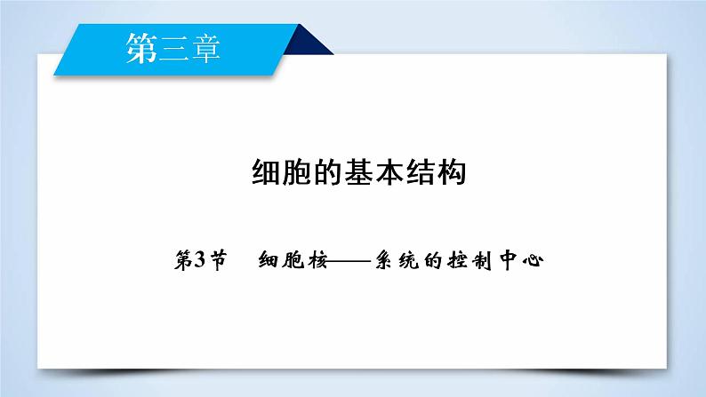 高中生物人教版必修1课件：第3章 第3节细胞核——系统的控制中心02