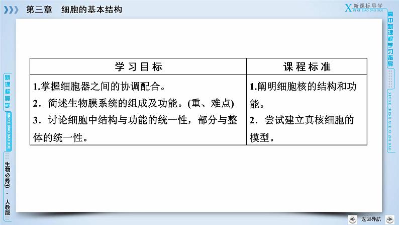 高中生物人教版必修1课件：第3章 第3节细胞核——系统的控制中心03