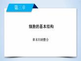 高中生物人教版必修1课件：章末归纳整合3