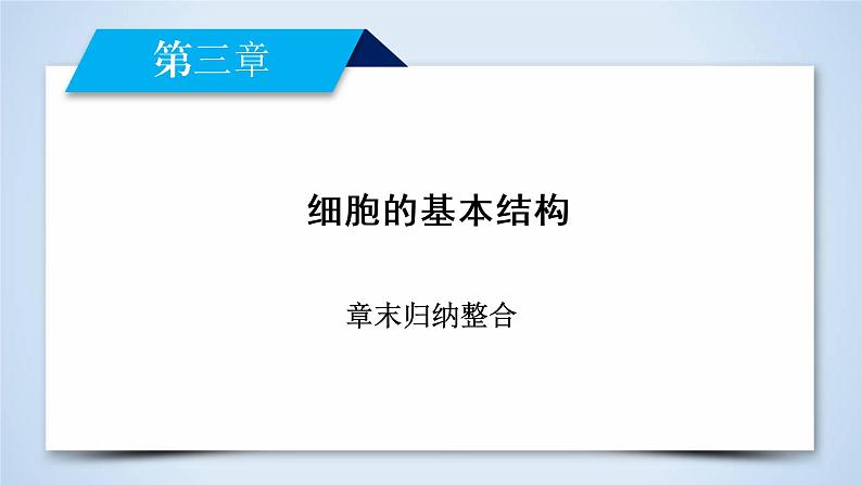 高中生物人教版必修1课件：章末归纳整合302