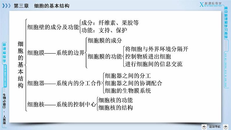 高中生物人教版必修1课件：章末归纳整合305