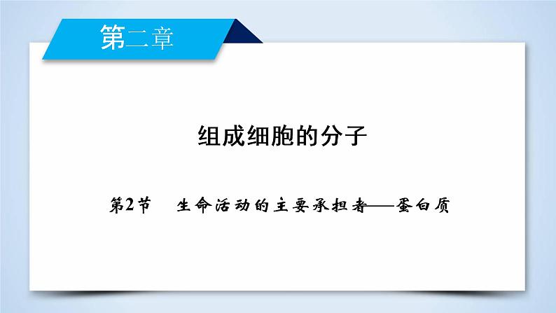 高中生物人教版必修1课件：第2章 第2节生命活动的主要承担者——蛋白质02