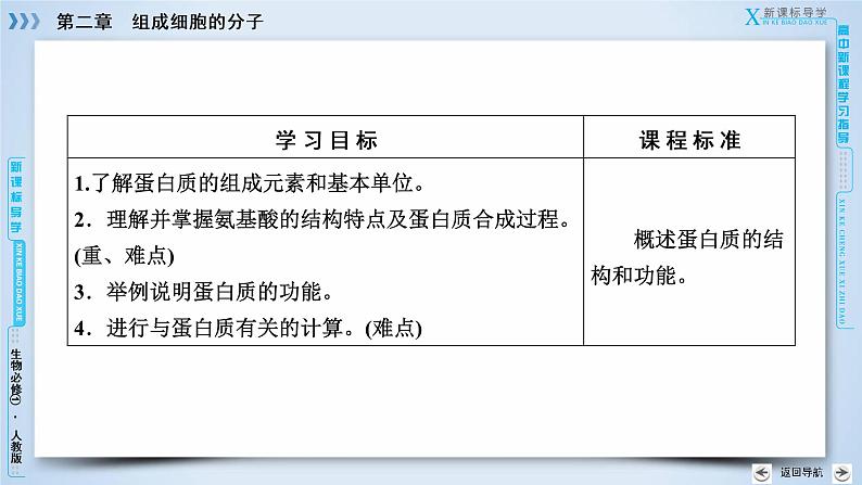 高中生物人教版必修1课件：第2章 第2节生命活动的主要承担者——蛋白质03