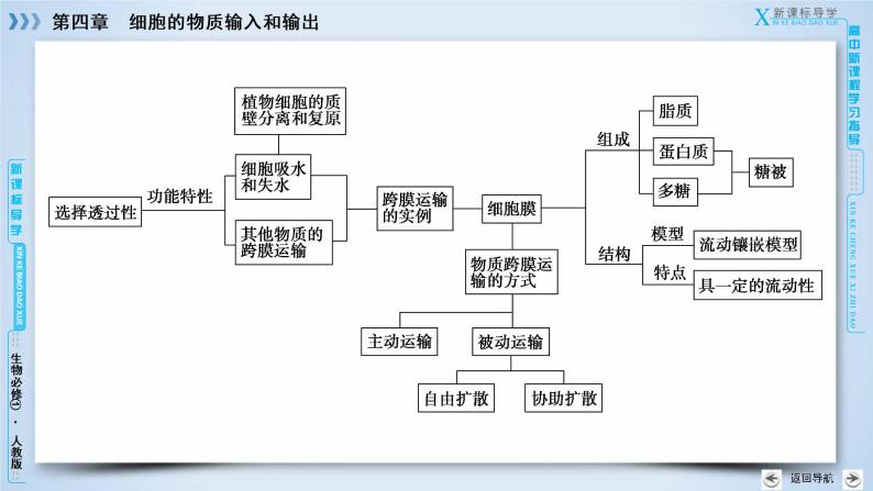 高中生物人教版必修1课件：章末归纳整合405