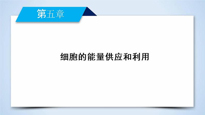 高中生物人教版必修1课件：第5章 第1节降低化学反应活化能的酶02