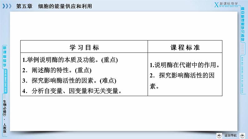 高中生物人教版必修1课件：第5章 第1节降低化学反应活化能的酶07