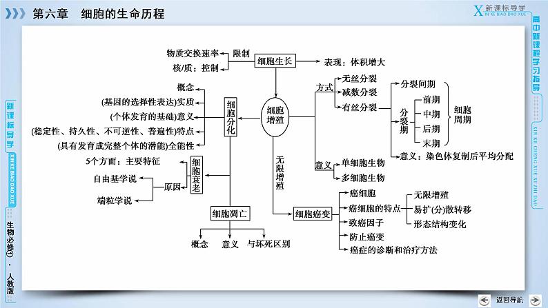 高中生物人教版必修1课件：章末归纳整合605