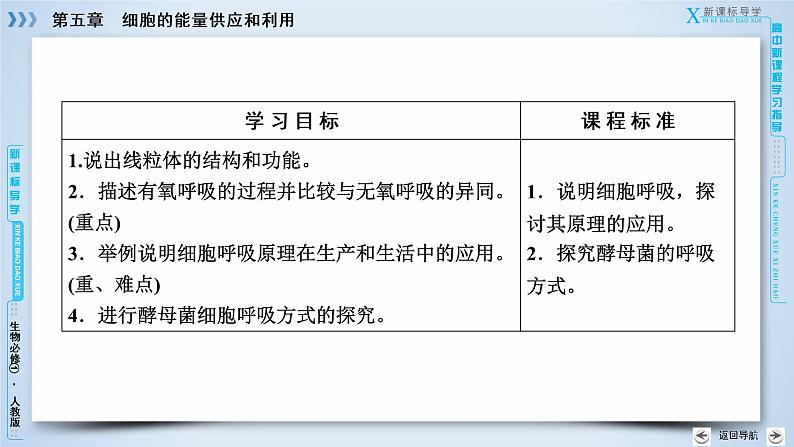 高中生物人教版必修1课件：第5章 第3节ATP的主要来源——细胞呼吸03